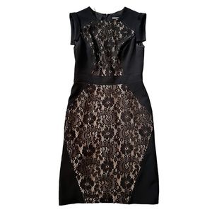 Adrianna Papell Black Lace Block Knee Length Cocktail Dress Sz 4